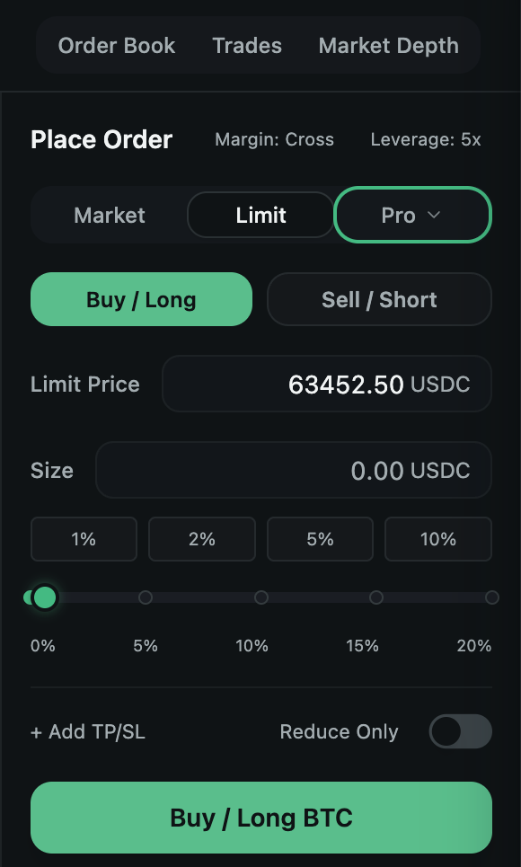 The Rayze order ticket set to cross margin at 5x leverage, with market, limit and pro order types, buy-long and sell-short sides, a limit price in USDC, size presets, take-profit and stop-loss, and a reduce-only toggle